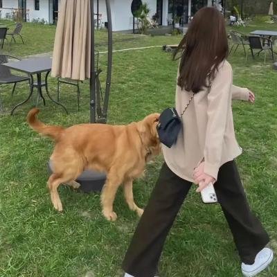 瑞盖特村之谜
