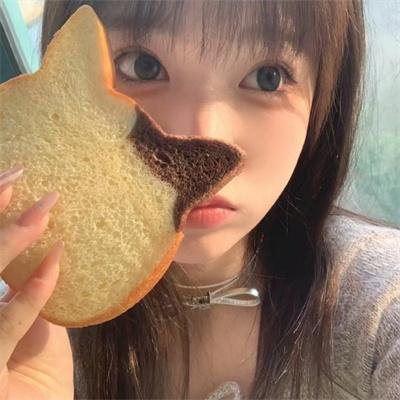 镜狮子